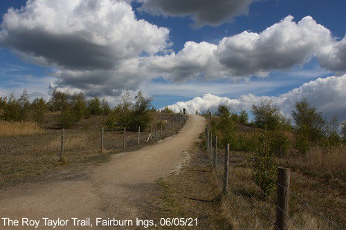 Roy Taylor Trail, RSPB Fairburn Ings